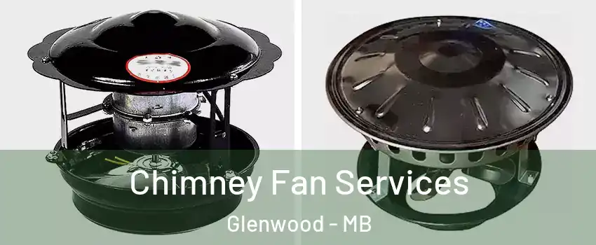  Chimney Fan Services Glenwood - MB
