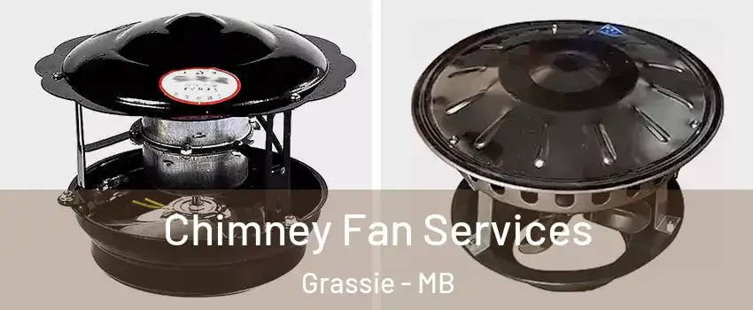  Chimney Fan Services Grassie - MB