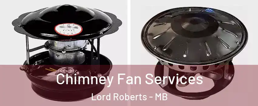  Chimney Fan Services Lord Roberts - MB