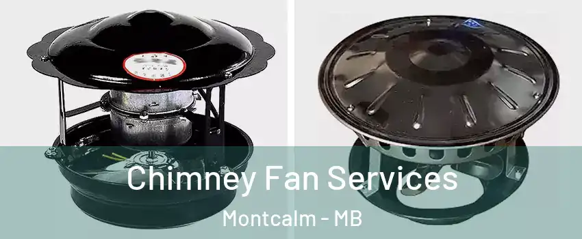 Chimney Fan Services Montcalm - MB