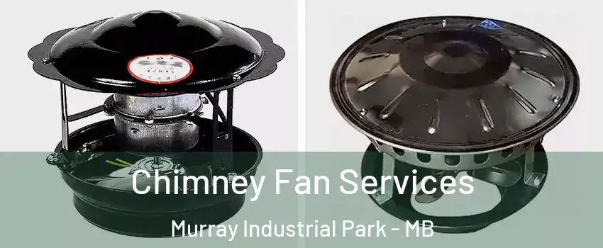  Chimney Fan Services Murray Industrial Park - MB