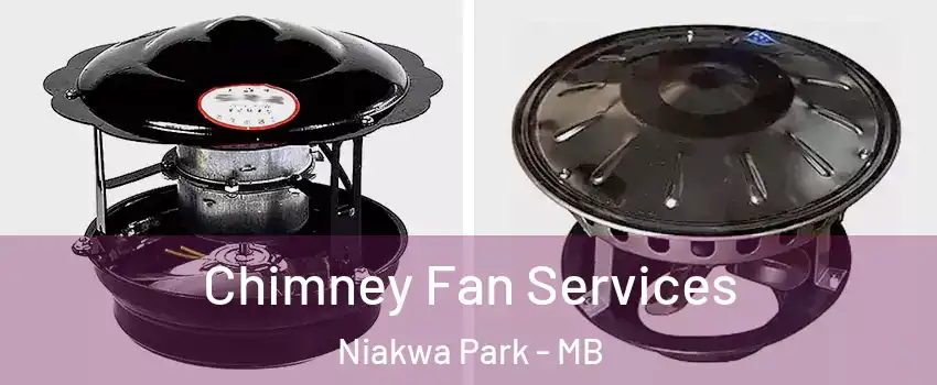  Chimney Fan Services Niakwa Park - MB