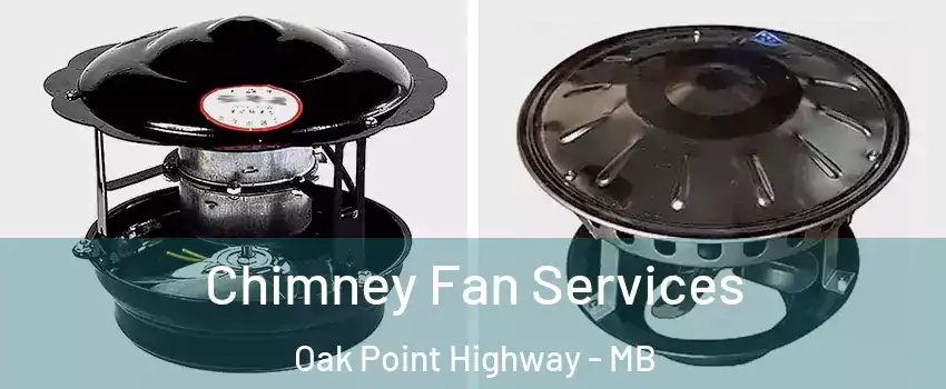  Chimney Fan Services Oak Point Highway - MB