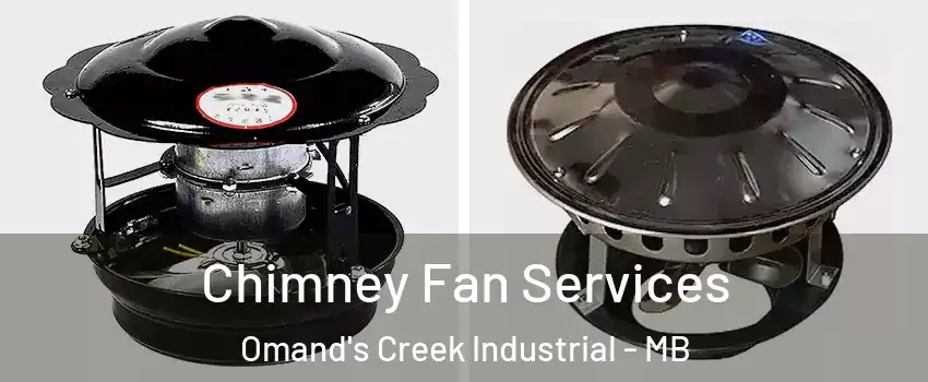  Chimney Fan Services Omand's Creek Industrial - MB