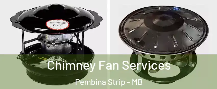  Chimney Fan Services Pembina Strip - MB