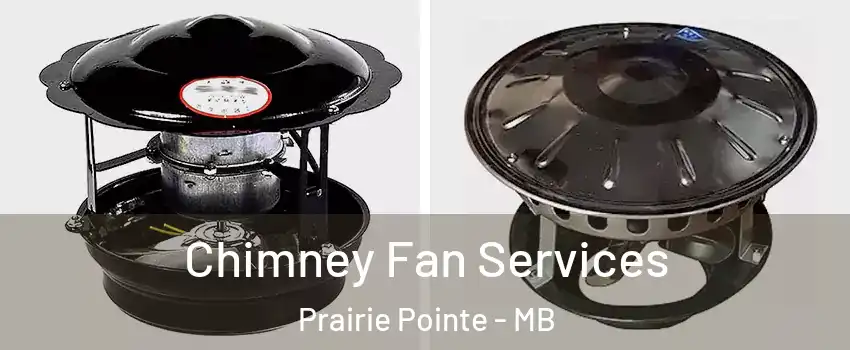  Chimney Fan Services Prairie Pointe - MB
