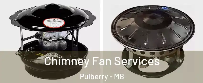  Chimney Fan Services Pulberry - MB