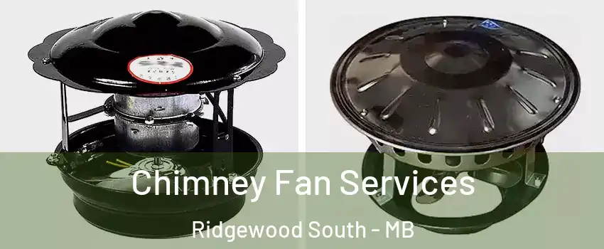  Chimney Fan Services Ridgewood South - MB