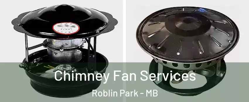  Chimney Fan Services Roblin Park - MB