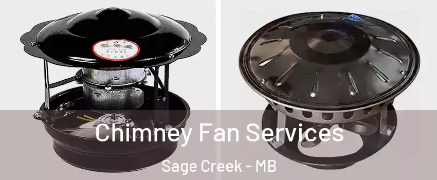  Chimney Fan Services Sage Creek - MB