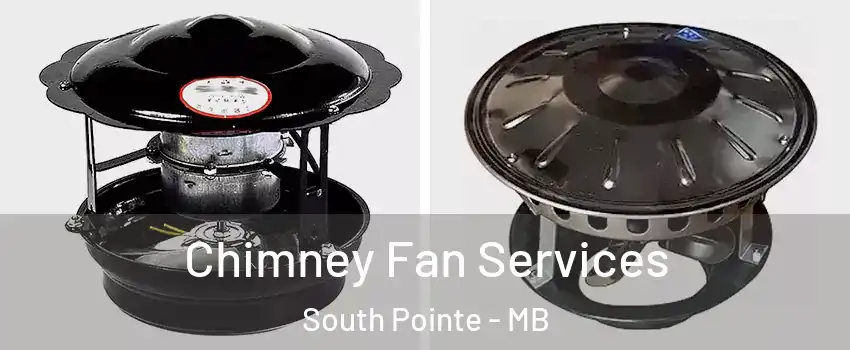  Chimney Fan Services South Pointe - MB
