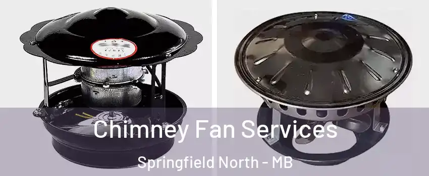  Chimney Fan Services Springfield North - MB