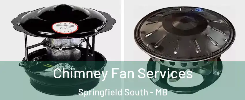  Chimney Fan Services Springfield South - MB