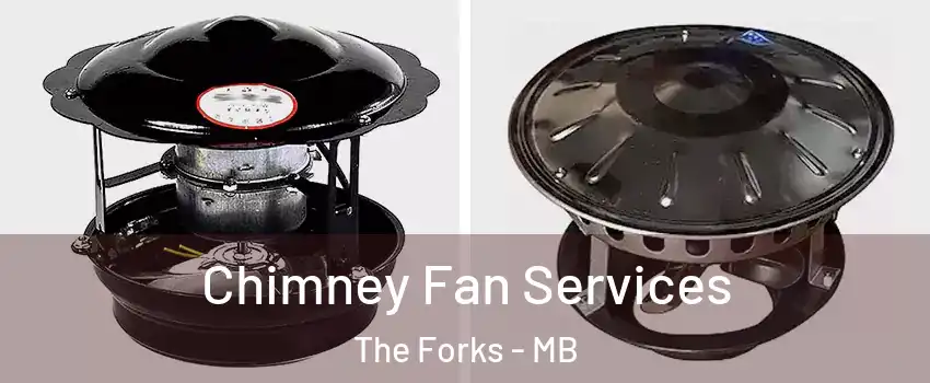  Chimney Fan Services The Forks - MB