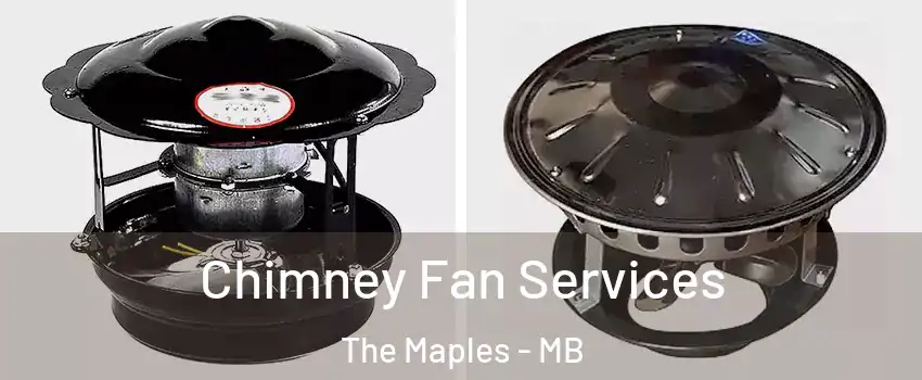  Chimney Fan Services The Maples - MB