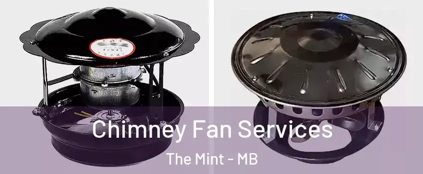  Chimney Fan Services The Mint - MB