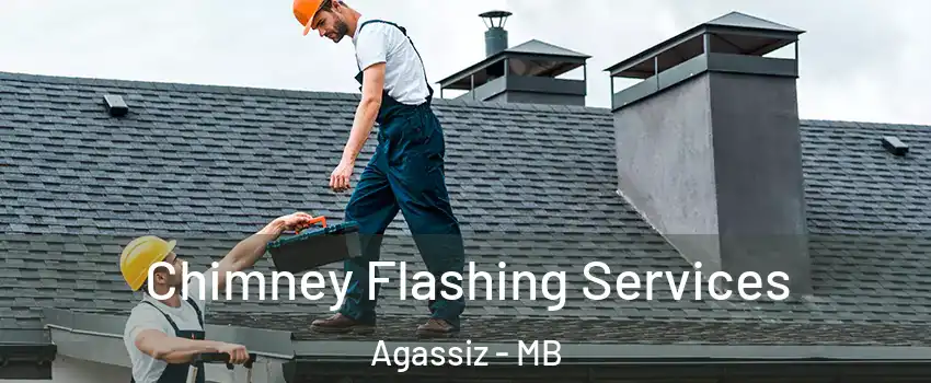 Chimney Flashing Services Agassiz - MB