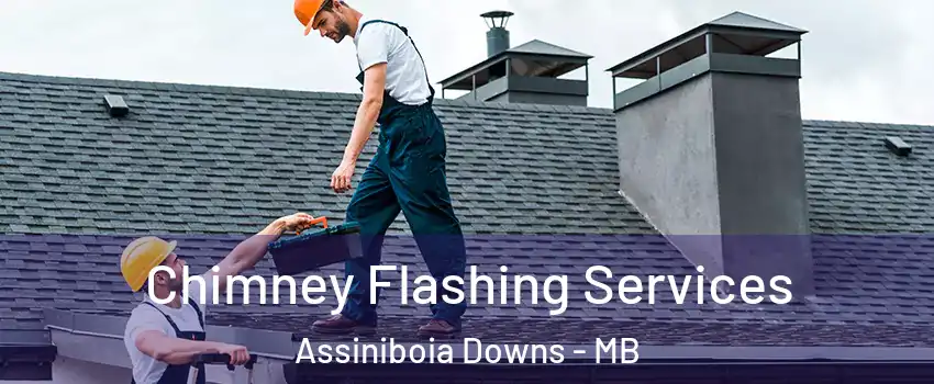 Chimney Flashing Services Assiniboia Downs - MB