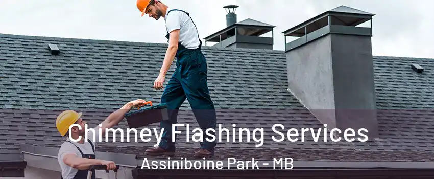 Chimney Flashing Services Assiniboine Park - MB