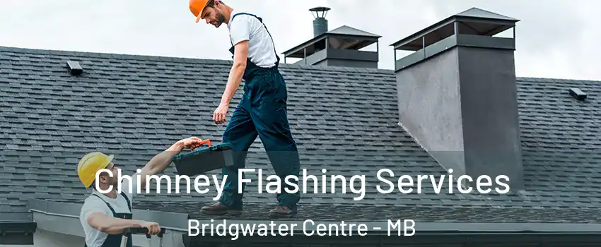 Chimney Flashing Services Bridgwater Centre - MB