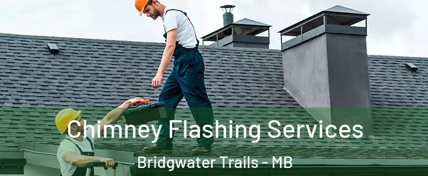 Chimney Flashing Services Bridgwater Trails - MB