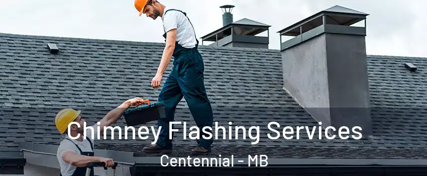 Chimney Flashing Services Centennial - MB