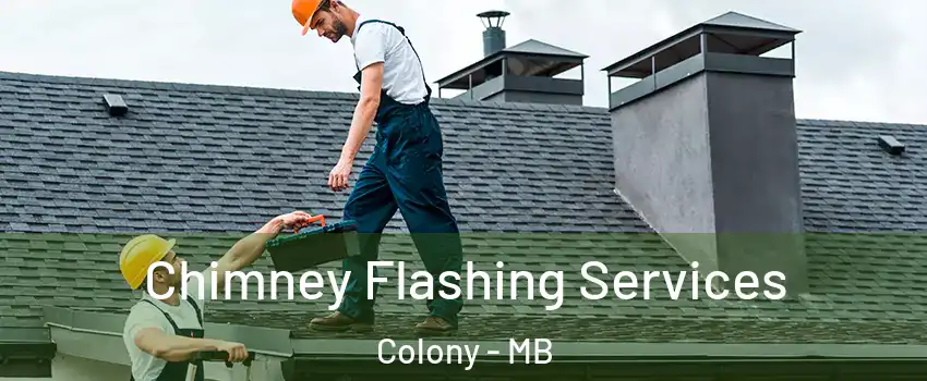 Chimney Flashing Services Colony - MB