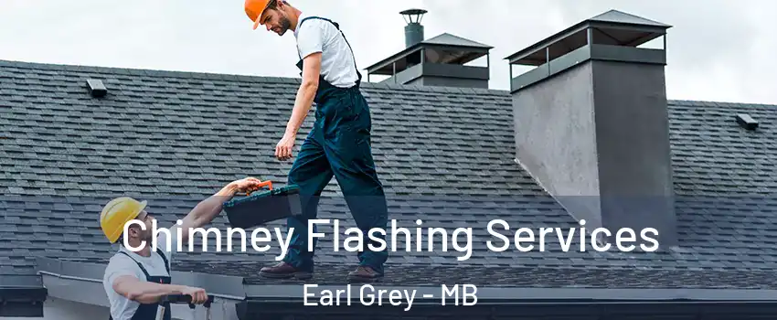 Chimney Flashing Services Earl Grey - MB