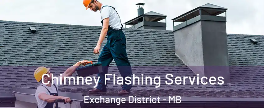  Chimney Flashing Services Exchange District - MB