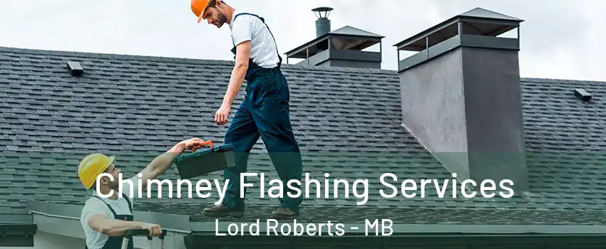 Chimney Flashing Services Lord Roberts - MB