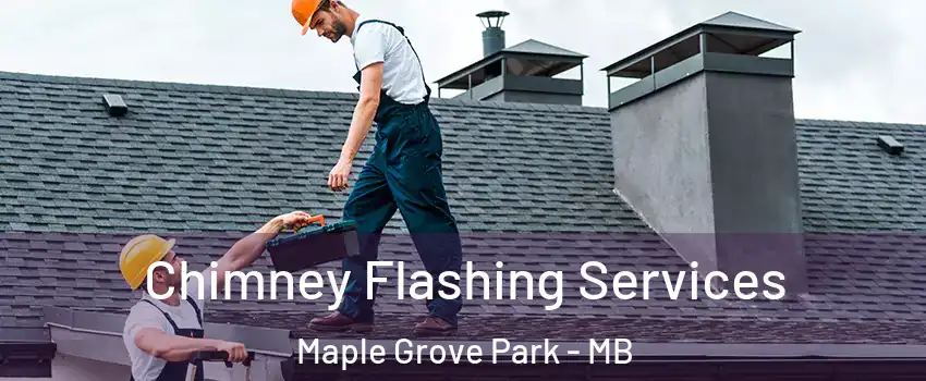  Chimney Flashing Services Maple Grove Park - MB
