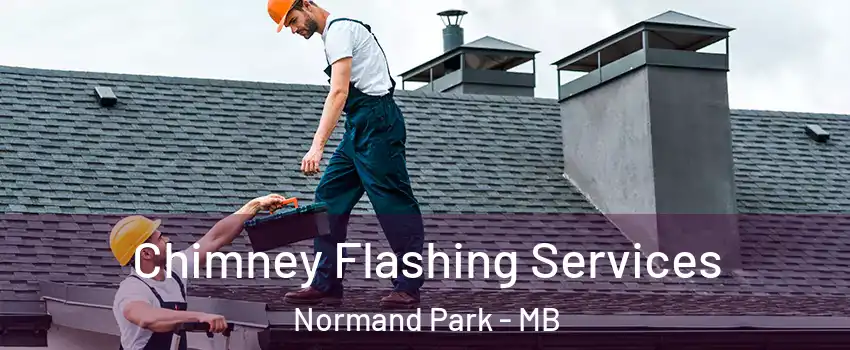  Chimney Flashing Services Normand Park - MB