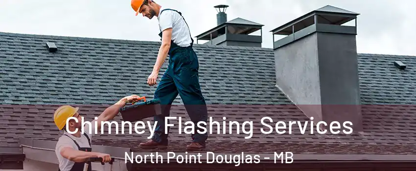Chimney Flashing Services North Point Douglas - MB