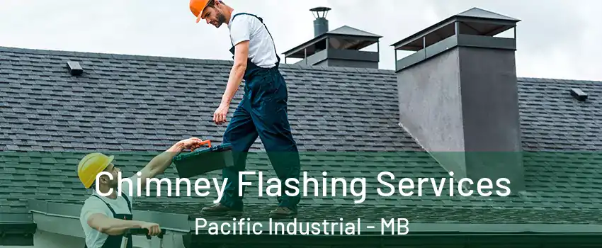  Chimney Flashing Services Pacific Industrial - MB
