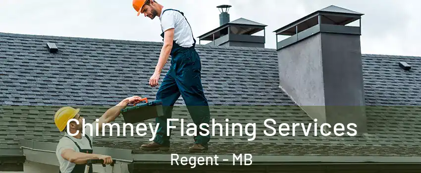  Chimney Flashing Services Regent - MB