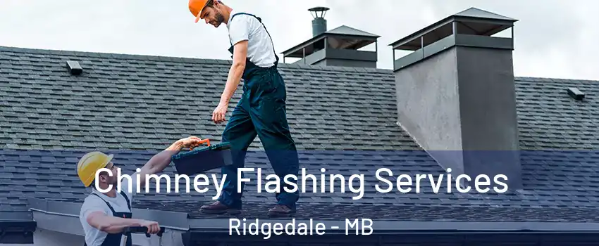  Chimney Flashing Services Ridgedale - MB