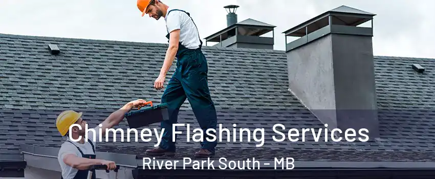 Chimney Flashing Services River Park South - MB