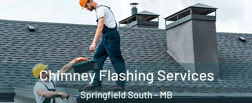  Chimney Flashing Services Springfield South - MB
