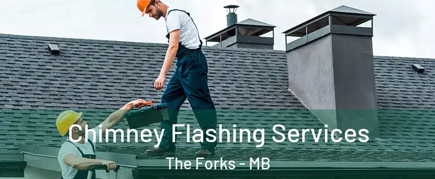 Chimney Flashing Services The Forks - MB