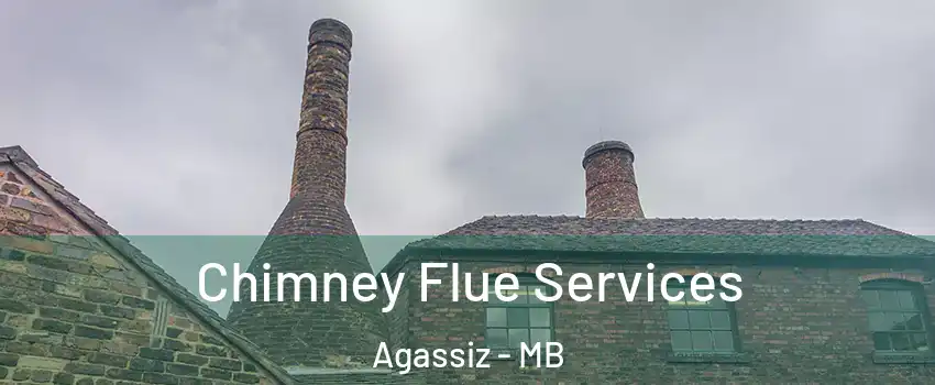  Chimney Flue Services Agassiz - MB