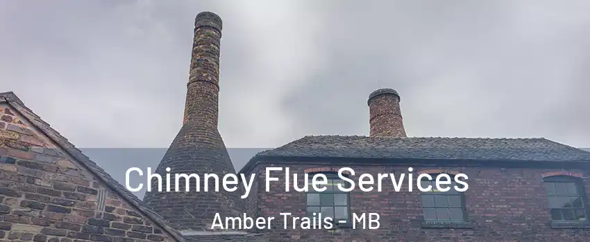  Chimney Flue Services Amber Trails - MB