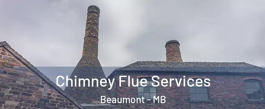  Chimney Flue Services Beaumont - MB