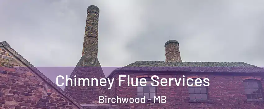  Chimney Flue Services Birchwood - MB