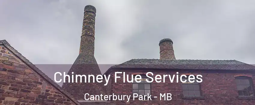  Chimney Flue Services Canterbury Park - MB