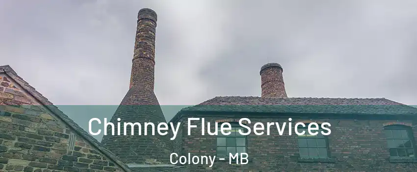  Chimney Flue Services Colony - MB