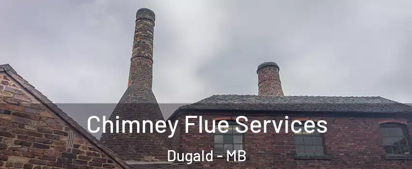  Chimney Flue Services Dugald - MB