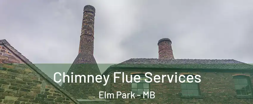  Chimney Flue Services Elm Park - MB