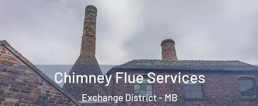  Chimney Flue Services Exchange District - MB