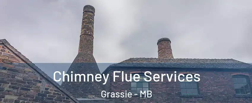  Chimney Flue Services Grassie - MB