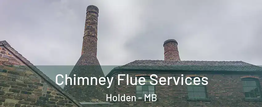  Chimney Flue Services Holden - MB